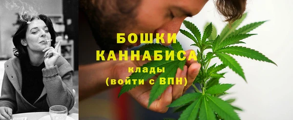 ПСИЛОЦИБИНОВЫЕ ГРИБЫ Ладушкин