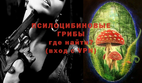 дурь Лагань