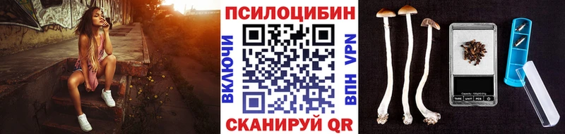 Псилоцибиновые грибы мицелий Купить закладки Подпорожье